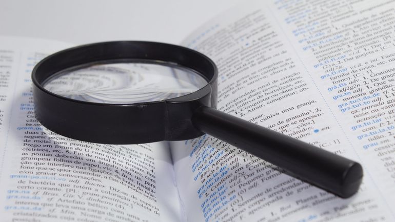 "Crush", "neuroatypique", "prompte" : les nouveaux mots du Larousse 2027 qui racontent notre époque