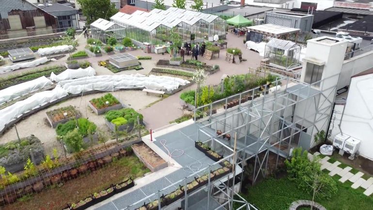 Bruxelles : une mobilisation inédite pour protéger les sols vivants