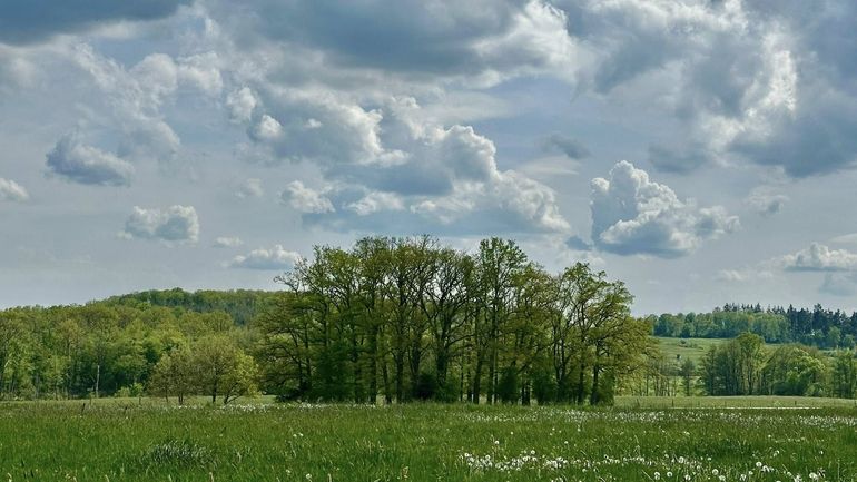 Météo en Belgique : un ciel progressivement changeant avec des pluies intermittentes