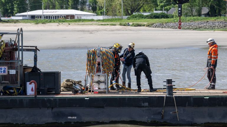 Fuite de pétrole dans le port d'Anvers : les zones naturelles épargnées par la marée de vives-eaux