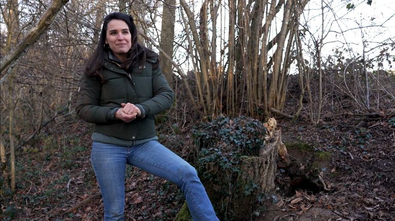 Entrez, c'est tout vert : Le renard roux, un allié sous-estimé