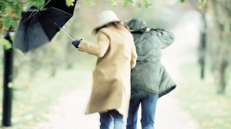 Dépression Goretti : quels impacts chez nous?