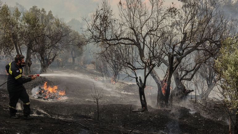 Incendies en Grèce : reprises de feux incessantes en Crète, trois pompiers décédés, le Premier ministre annonce des "jours difficiles"