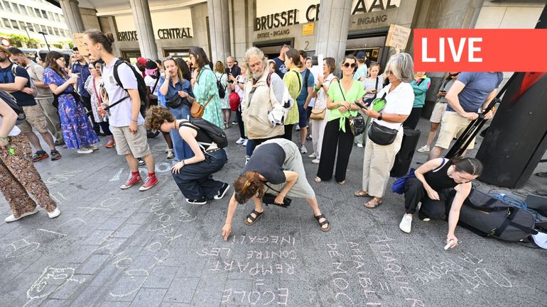 Direct - Économies dans l'enseignement et colère des professeurs : suivez la conférence de presse des ministres Glatigny et Degryse