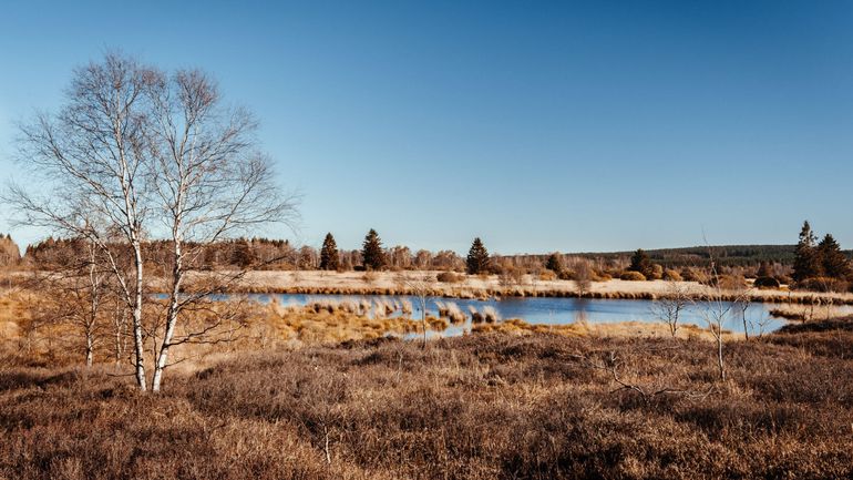 Les Fagnes, l'histoire d'un territoire pas si naturel que ça