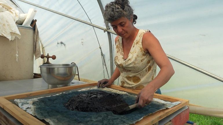Anne-Sylvie transforme les plantes en couleurs : rencontre avec la magicienne de l'indigo