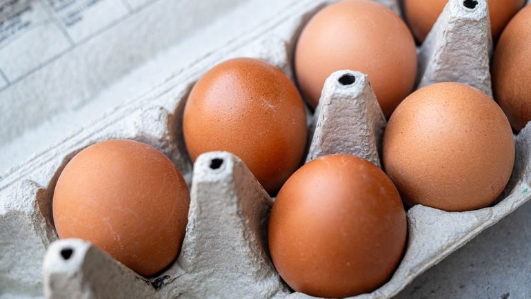 L'épidémie n'est pas terminée : 318 personnes malades après avoir consommé des oeufs contaminés à la salmonelle