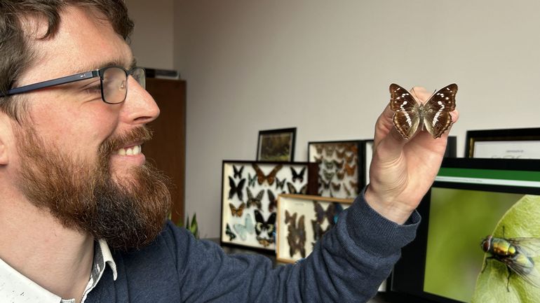 D'un battement d'aile aux matériaux de demain: c'est l'effet papillon