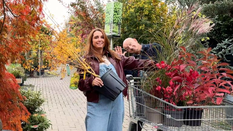 Bien choisir les plantes à installer au jardin en automne : conseils depuis une pépinière