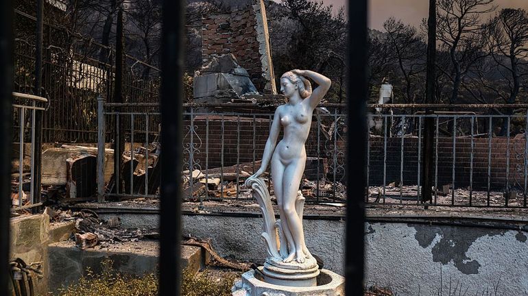 Feux de forêt en Grèce : un nouvel incendie se déclare au sud-est d'Athènes, attisé par des vents de plus de 70 km/h