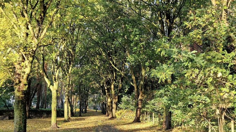Météo en Belgique : un week-end frais, instable samedi, plus sec et lumineux dimanche