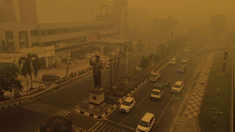 Feux de forêt en Indonésie : la pollution due aux incendies a tué 3560 personnes en septembre, principalement à Bornéo