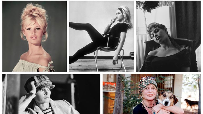 Brigitte Bardot s'en est allée à 91 ans: l'incroyable destinée de BB (photos et vidéos)