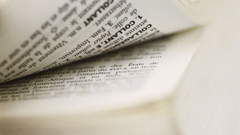 "Masculinisme", "wesh" ou "conclave" : ces mots qui ont le plus progressé sur le site du dictionnaire Le Robert "Masculinisme", "wesh" ou "conclave" : ces mots qui ont le plus progressé sur le site du dictionnaire Le Robert