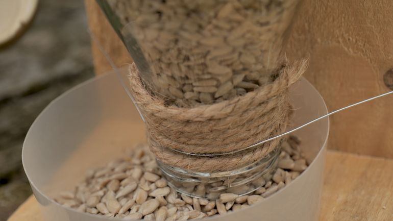 Bricolage au jardin : fabriquer des mangeoires pour oiseaux 100% récup’