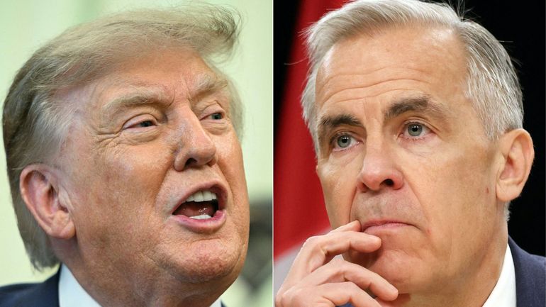Opposition à Donald Trump : "Mark Carney fait le travail que les dirigeants européens devraient faire"