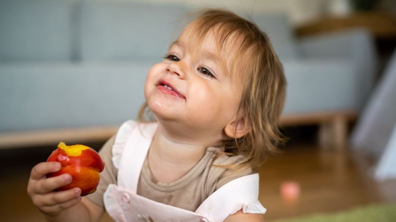 600.000 personnes dépendent de l'aide alimentaire : "C’est un véritable appel à l’aide"