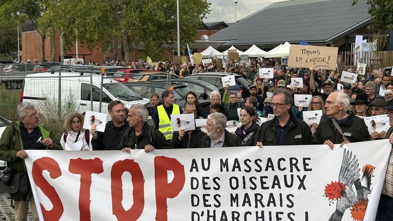 700 personnes ont manifesté contre la chasse aux canards ouverte à quelques pas des marais d'Harchies