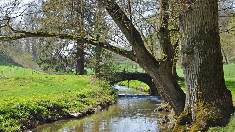 Sécheresse en Belgique et en Europe : "Il faut garder l'eau sur le territoire" explique la spécialiste en hydrologie Aurore Degré