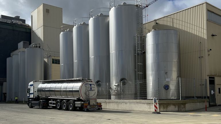 La Laiterie des Ardennes va produire du lait sans lactose, de la crème fraîche, du gouda et des protéines pour le fitness