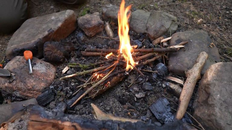 Perdu en pleine nature : auriez-vous les bons réflexes ?