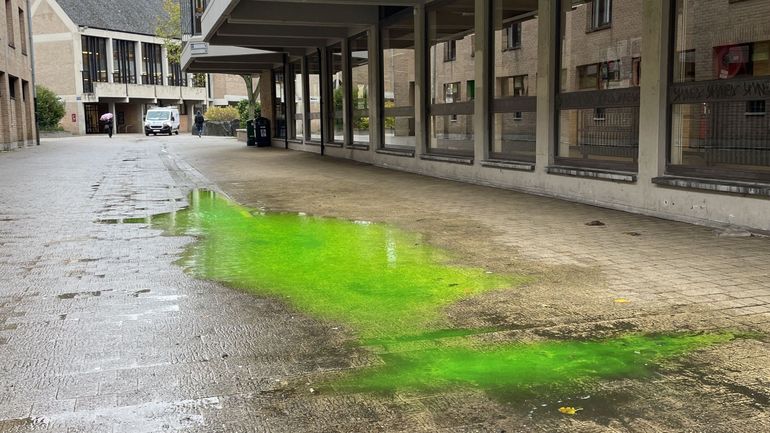 Le mystère de la flaque vert fluo de Louvain-la-Neuve élucidé Le mystère de la flaque vert fluo de Louvain-la-Neuve élucidé