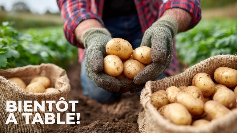 La recette du gratin dauphinois de Vincent Ferniot La recette du gratin dauphinois de Vincent Ferniot