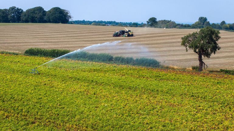 Le Belge consomme énormément d’eau, se dirige-t-on vers un stress hydrique ? Le Belge consomme énormément d’eau, se dirige-t-on vers un stress hydrique ?