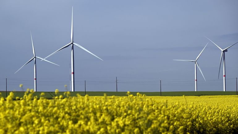 Réseau électrique : Elia rapporte qu'une erreur algorithmique a conduit à une surestimation de la consommation électrique