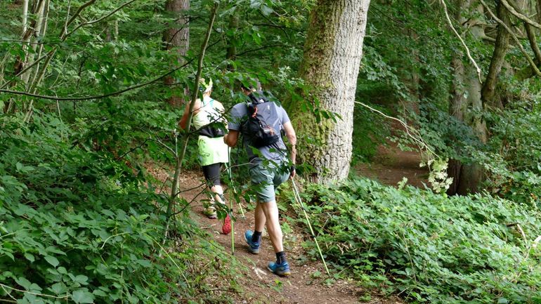 Est-ce qu’on ne sortirait pas les bâtons pour une marche nordique ?