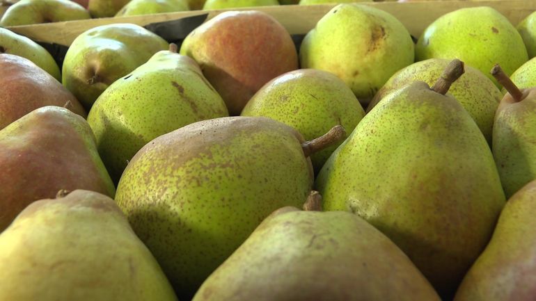 Les Belges mangent de moins en moins de poires, comment l’expliquer ?