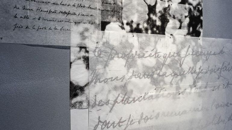 Mons : une résidence artistique dans un joyau Art nouveau Mons : une résidence artistique dans un joyau Art nouveau