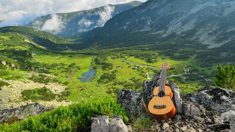 L’appel de la montagne : quand le rock prend de l'altitude