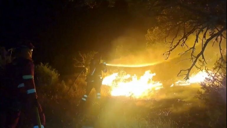 Feux de forêt : l'Espagne déclare l'urgence nationale dans la région de Madrid et une province limitrophe