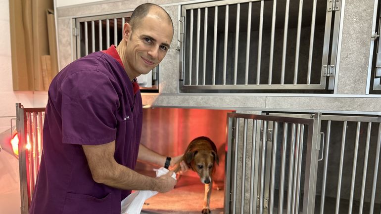 Vetoxygène, une plateforme qui redonne du souffle aux vétérinaires ?