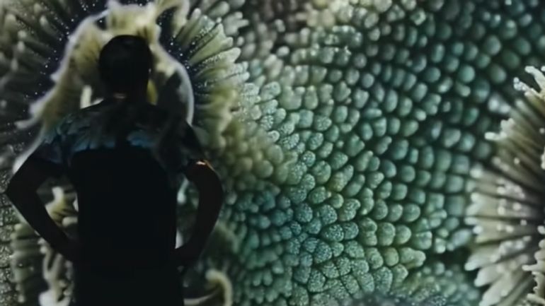 Collaborations art-science : qui ose vraiment franchir les frontières ?