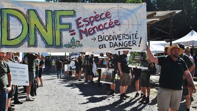 Réforme du Département de la nature et des forêts: la ministre tente de rassurer les agents