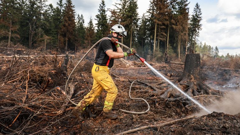 Incendie dans les Fagnes : pourquoi ne fauche-t-on pas avant l'été ?