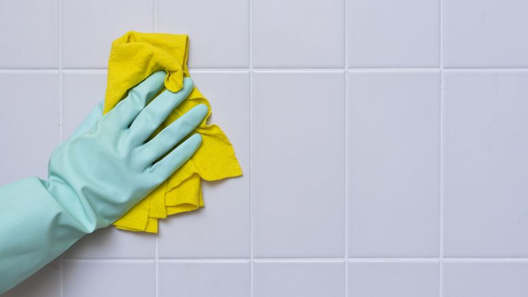 Les entreprises de titres-services ont désormais leur fédération, Domiva