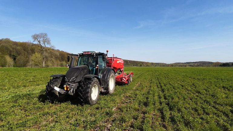Belgique à +3 °C : comment notre agriculture peut s'adapter face au réchauffement climatique ?