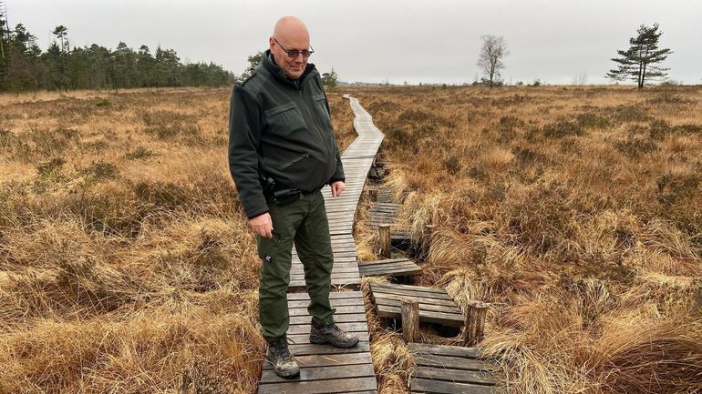 Des caillebotis dégradés après le passage de quads dans les fagnes à Malchamps