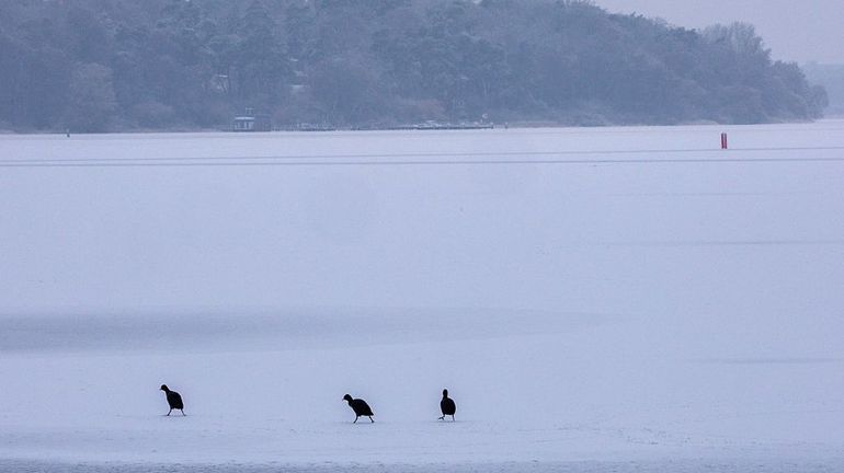 Le plus grand lac d'Allemagne figé par le froid : "un phénomène très rare ces dernières années"