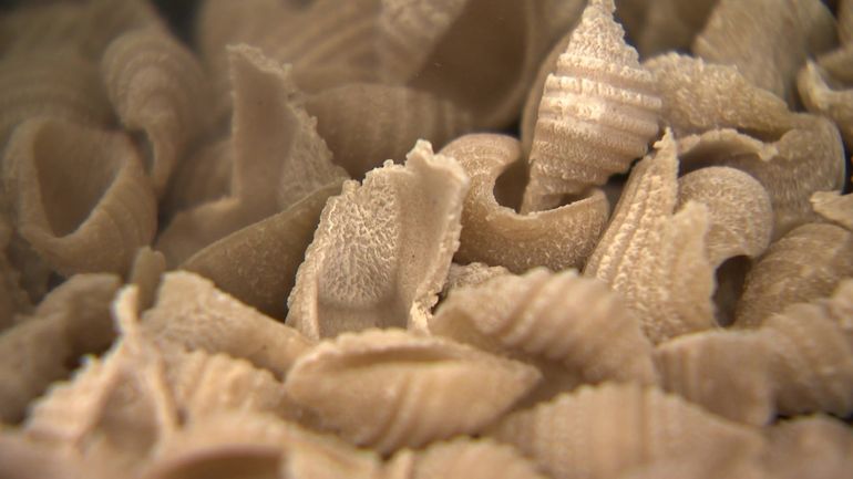 Circuit court : en Ardenne, ils transforment leur épeautre en pâtes artisanales