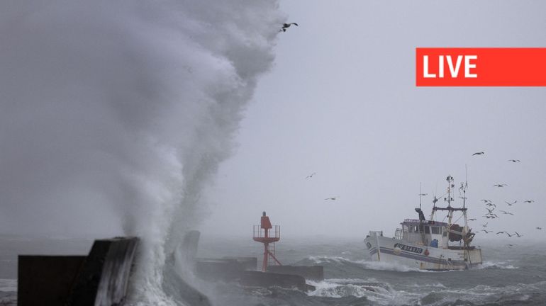 Direct – Tempête Benjamin : gros coup de vent sur le pays, pas de vols annulés à Brussels Airport, contrairement à Schiphol Direct – Tempête Benjamin : gros coup de vent sur le pays, pas de vols annulés à Brussels Airport, contrairement à Schiphol