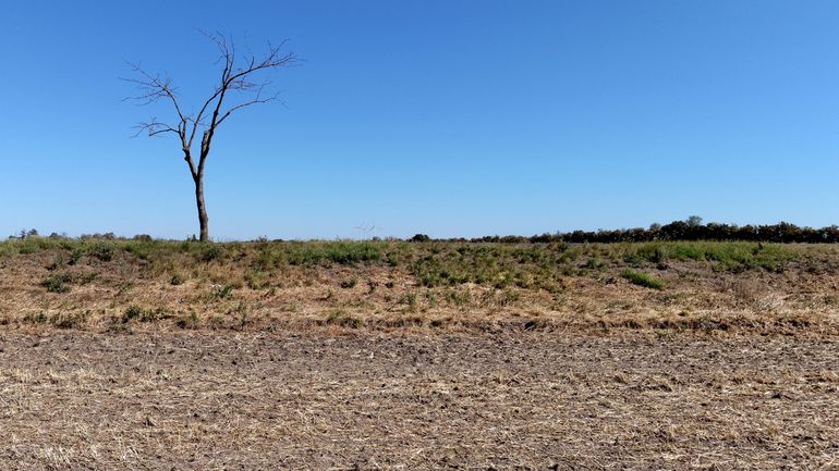 Canicule en Europe : les températures devraient dépasser 35°C pour plus de 135 millions de personnes ce jeudi
