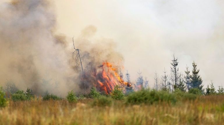 Incendies dans les Hautes-Fagnes : la Belgique "n'est pas prête" face à des feux de forêt plus fréquents, prévient le climatologue Xavier Fettweiss