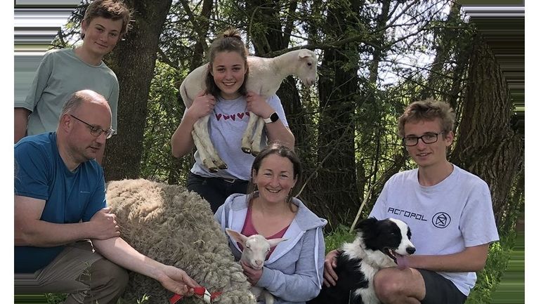 La fête de la laine à la Bergerie de Kumaye à Hour (Houyet)