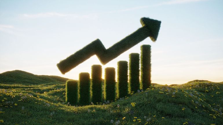 Investir dans une coopérative en Belgique : qu'est-ce que ça rapporte ?