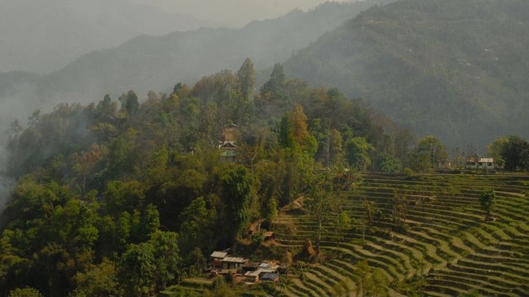 L’État indien du Sikkim est-il vraiment "devenu" 100% bio ?