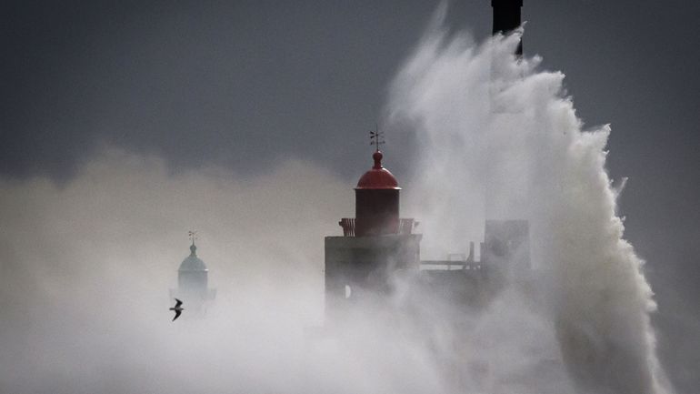 Le calme après la tempête Benjamin, la Wallonie relativement épargnée